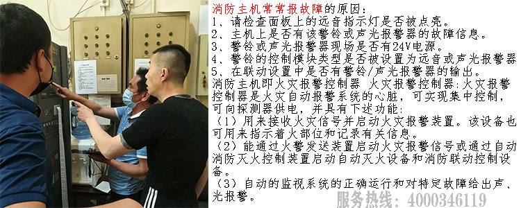 �����C�������